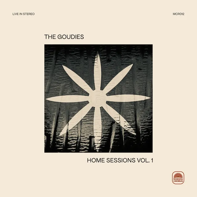 Home Sessions Vol. 1 artwork