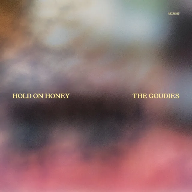 Hold On Honey artwork