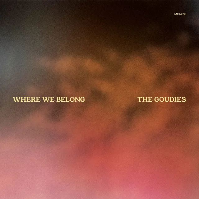 Where We Belong artwork