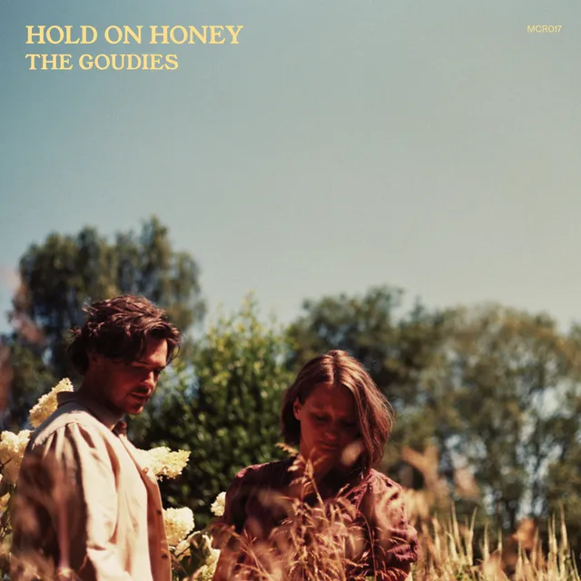 Hold On Honey artwork